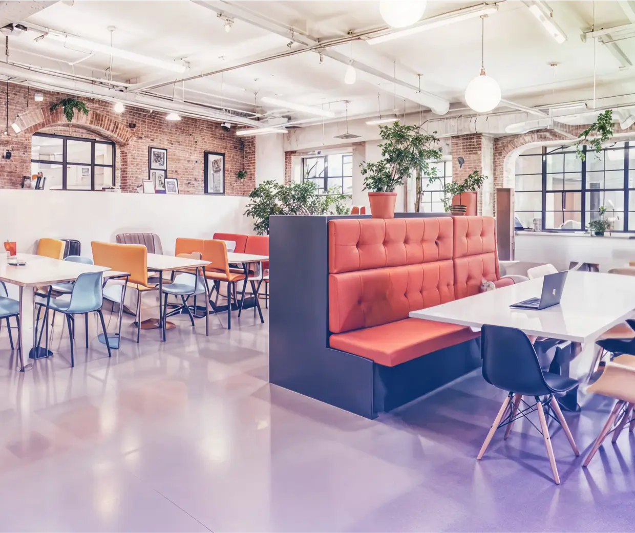Bright modern working space with colorful furniture and plants